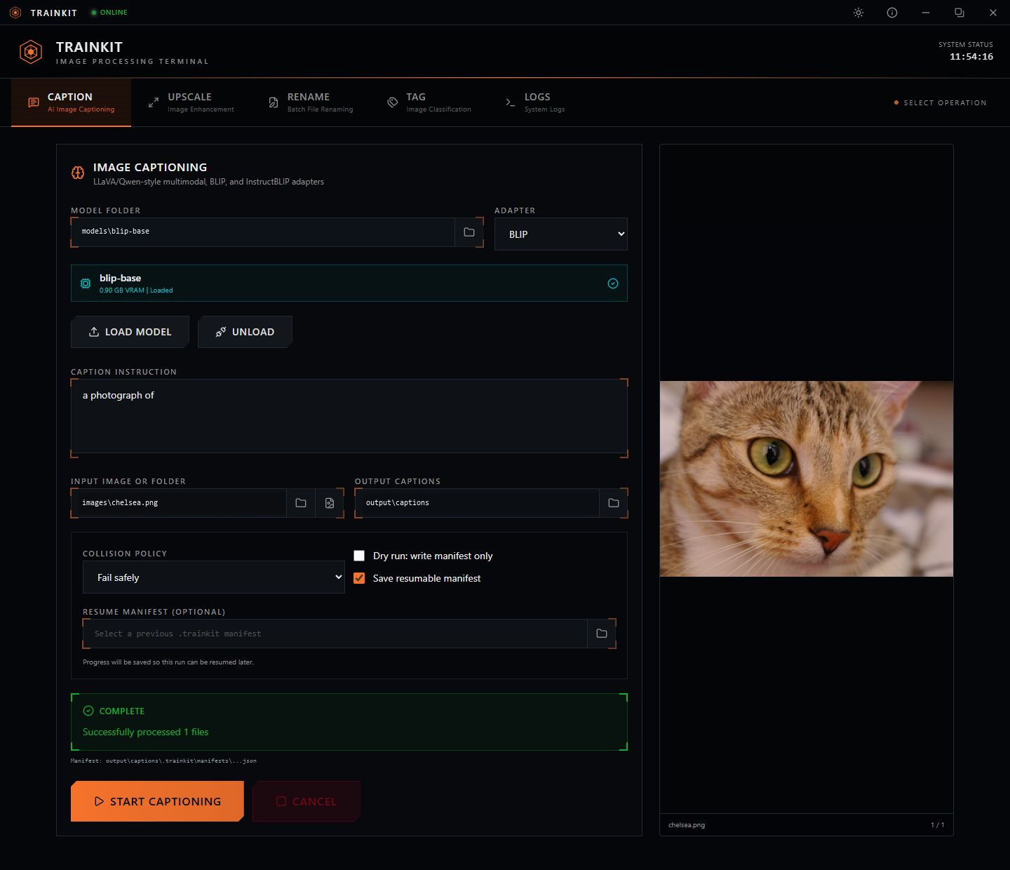 TrainKit 1.2.1 captioning interface, with BLIP loaded, the cat image selected and one file successfully processed