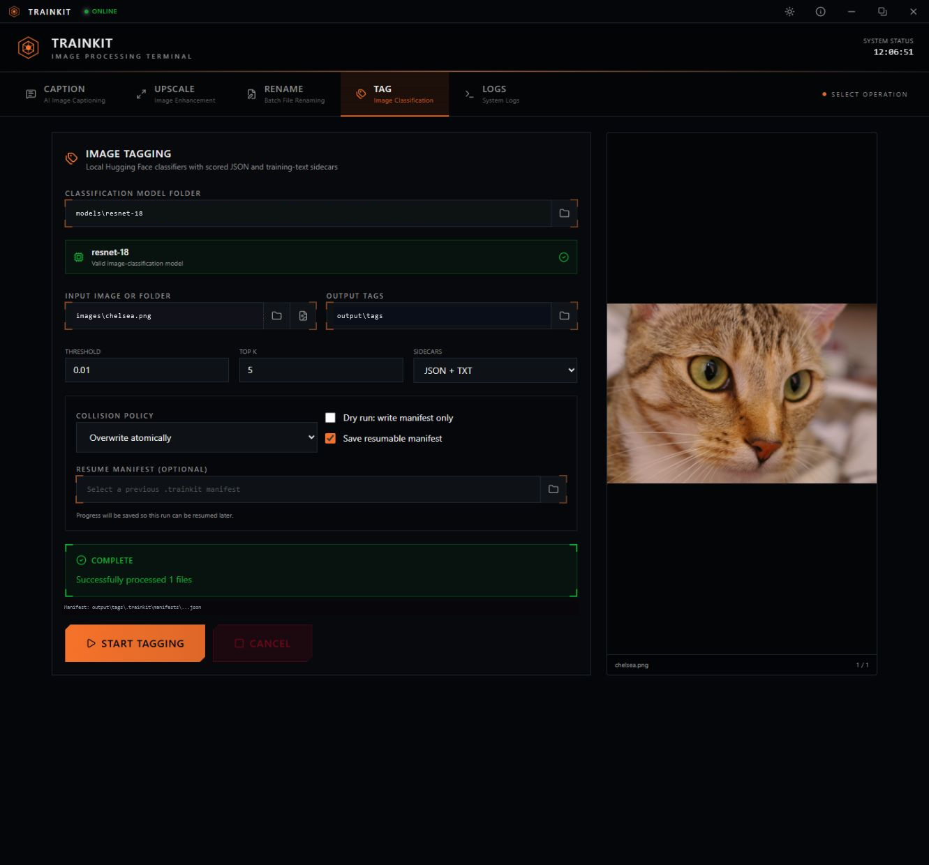 Current TrainKit AI tagging interface using a local ResNet model and the real cat image